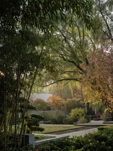 a serene outdoor garden with a pond surrounded by trees and bushes, featuring benches for seating