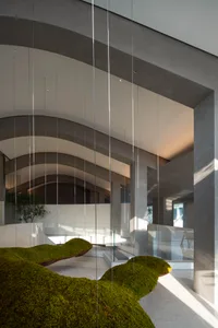Open modern living area with glass walls, two couches, a potted plant, and a vase, flooded with natural light