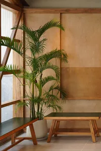 A warm and inviting dining room with a wooden table, chairs, and a potted plant, ideal for gatherings and meals