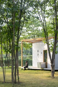 Serene Asian-style house interior with wooden walls and floors, featuring a mix of traditional and modern design elements, surrounded by trees
