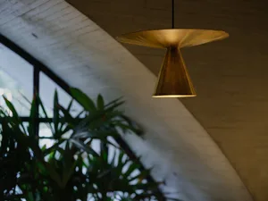 Warm and inviting room with a palm tree and a large gold hanging light fixture