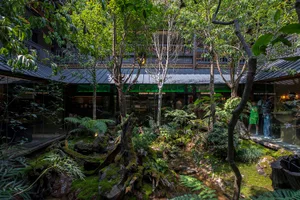 A serene indoor space blending architecture and nature, featuring various plants, trees, and potted greenery