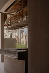 A calm and inviting kitchen space with a marble countertop, potted plants, and vases, adding a touch of nature to the area