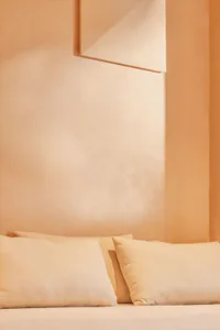 A simple bedroom with two pillows on a bed against a stone wall, with an earthy tone and minimal decor