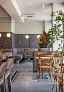 A modern restaurant dining area with multiple tables, chairs, and potted plants, featuring grey walls and wooden furniture