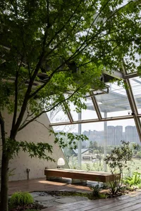 A calm and inviting indoor space with a wooden table surrounded by green plants, adding a touch of nature to the interior design
