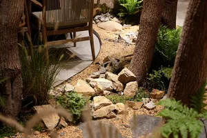Cozy indoor space with a rock garden, multiple chairs, and potted plants, creating a relaxing atmosphere