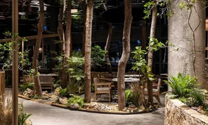 Cozy dining area with chairs, a dining table, and potted plants, creating a warm and inviting atmosphere