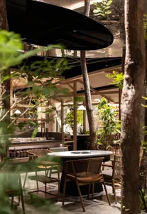 Warm and inviting dining area with wooden furniture, potted plants, and a cozy atmosphere