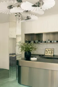 Bright and inviting kitchen with stainless steel countertops and cabinets, featuring potted plants and well-placed decorative bowls