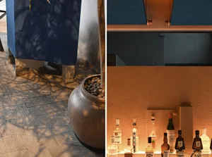 Two scenes side by side, one with bottles and a vase on a countertop, the other with a bathroom area, shower curtain, and potted plant