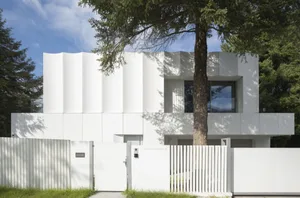 A modern house with a tree in front, featuring large windows, concrete exterior walls, and natural light