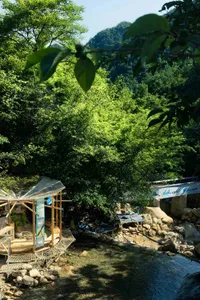 A wooden building surrounded by trees and water, with potted plants and a peaceful atmosphere