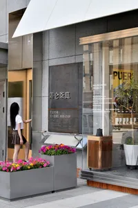 A woman stands in front of a hotel lobby entrance, surrounded by potted plants and a parked car in a busy urban area