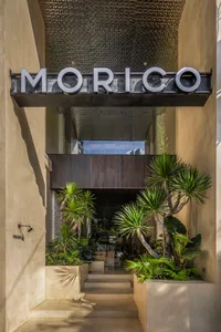 A welcoming entrance with a large sign reading Morico, surrounded by potted plants and lush greenery