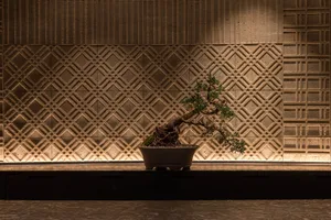 A small bonsai tree in a pot sits on a table, surrounded by a calm and serene atmosphere, with a patterned wall in the background