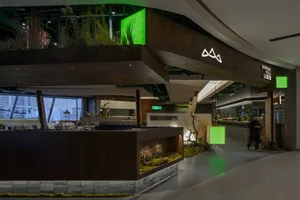 A modern restaurant bar with a wooden finish, potted plants, and a warm atmosphere, perfect for socializing or enjoying a meal