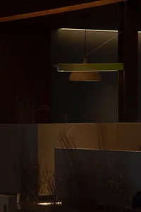 A darkened room with a greenish-lit hanging lamp, plants, and a cozy atmosphere