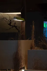 A calm indoor space with a white frame, hanging light, potted plants, and a tree branch, creating a serene atmosphere