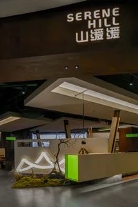 Modern showroom with white and green walls, natural light, and potted plants, featuring a mix of seating areas and clean lines