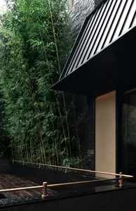 Black house with Asian-style architecture, bamboo plants lining the exterior, adding depth and visual interest