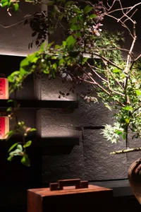 A serene indoor space with a stone wall, a rock wall, vases, and bottles, surrounded by plants
