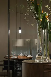 Sophisticated dining area with a wooden table, chairs, wine glasses, cups, and bowls, surrounded by potted plants