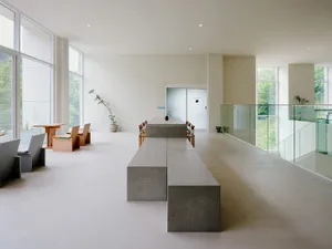 Open living area with a modern kitchen, dining table, and living room, featuring a large island, potted plants, and comfortable seating