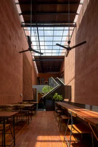 Warm and inviting restaurant interior with dining tables, chairs, and potted plants
