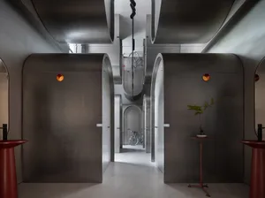 A modern hallway with metal walls, two doors, a bicycle, and potted plants