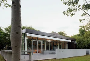 A modern indoor space with a large window surrounded by trees, featuring clean lines and minimalistic design elements, with glass and wood visible through the window, and natural light from sunlight filtering through the trees