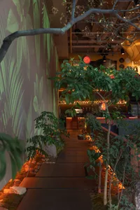 A cozy restaurant with potted plants and bottles scattered around, creating a relaxed and inviting atmosphere