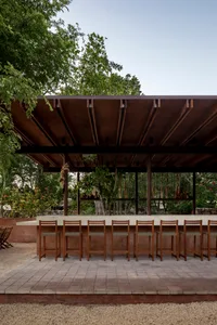 Modern bar area with a countertop, chairs, and potted plants, set in a restaurant with a focus on comfort and ambiance