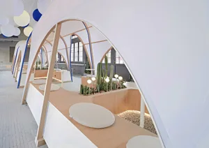 A modern interior design showroom featuring a variety of cacti in pots, well-lit with natural and artificial light, creating a lively atmosphere