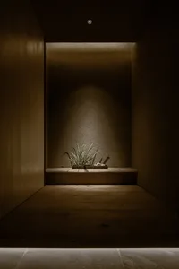 A dimly lit indoor space with a wooden bench, two potted plants, and a doorway