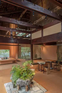 Warm and inviting open concept living area with wooden floors and walls, featuring potted plants and multiple chairs for seating