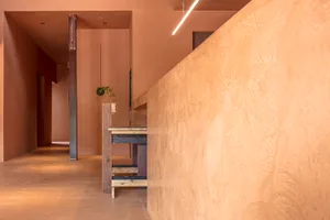 A warm hallway with brown walls, two potted plants, and a residential or commercial setting
