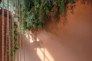A room with a wall covered in greenery, including hanging plants and a window allowing natural light to enter