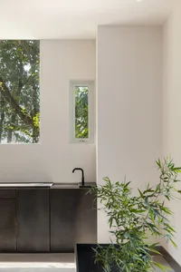 A well-lit bathroom with a sink, two potted plants, and natural light from windows