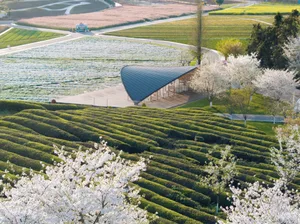 A modern building with a sloping roof sits in a well-maintained field surrounded by trees