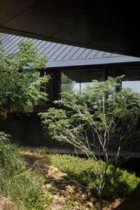 一棟黑色房屋前方有露台區與樹木，置身於光線充足的場景中