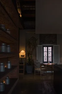 A well-lit living space with a dining table, chairs, potted plants, and vases on a wooden floor