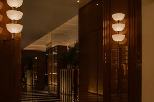 Sophisticated hallway with wooden walls and floors, featuring two potted plants and a luxurious atmosphere