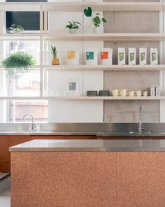 A clean and organized kitchen with modern fixtures, featuring a sink, countertop, and various decorative items