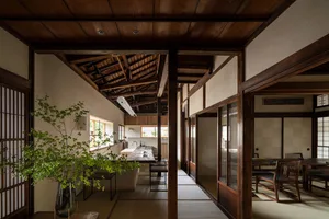 A well-lit, inviting space with wooden floors and walls, featuring a dining area, kitchen, and living room with a couch and potted plants
