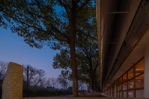 A modern building with a row of windows and a large tree in front, creating a sense of depth and contrast between nature and architecture
