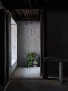 A serene interior space with a concrete wall, a plant in a white vase on a table, and two benches in a calm and inviting atmosphere