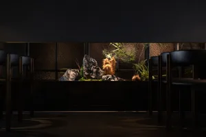 A well-lit aquarium in a darkened room features a variety of fish swimming around, each displaying different sizes and positions