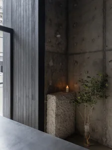 Interior space with a stone wall, a concrete block, and a window, featuring two potted plants and a lit candle