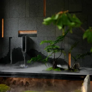 A serene indoor space with a large stone wall, a central fountain, and potted plants on either side